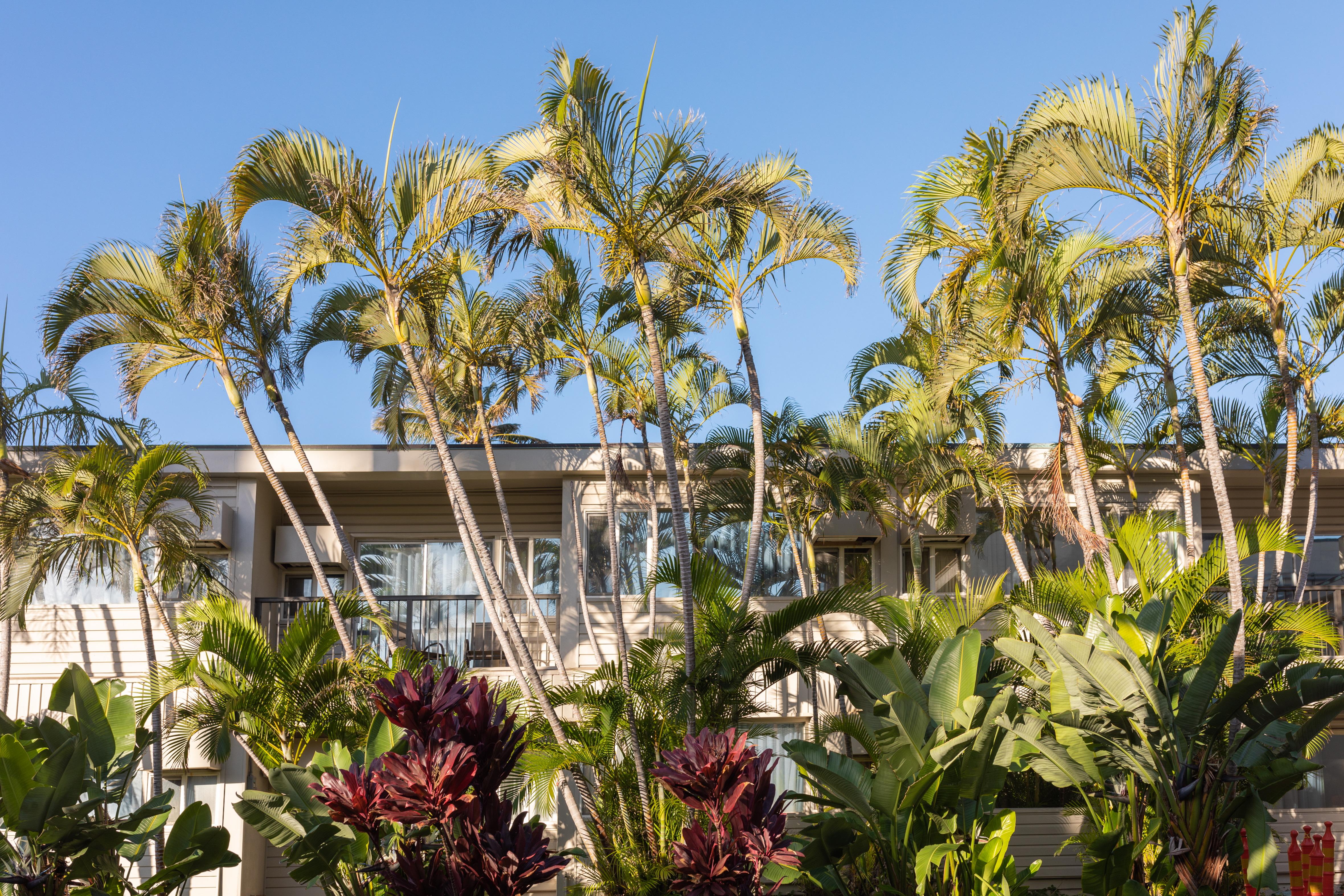 Maui Beach Hotel Kahului Exterior photo